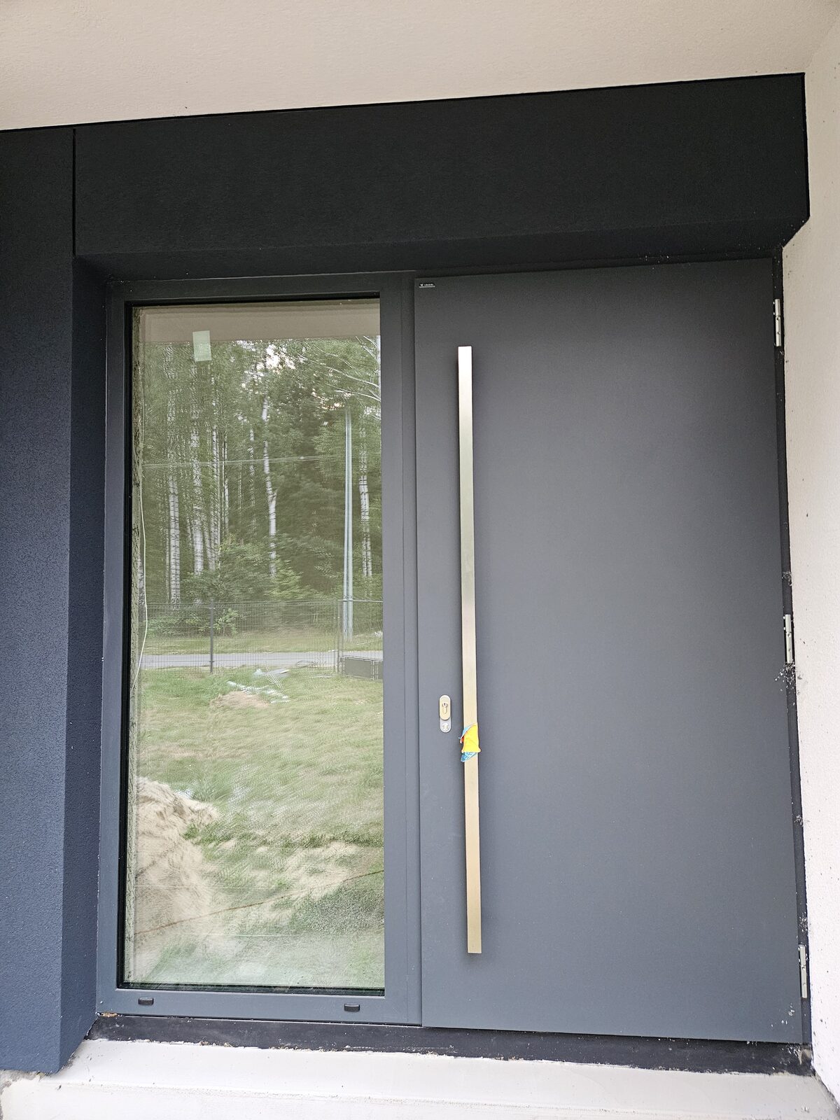 Widok z okna na las